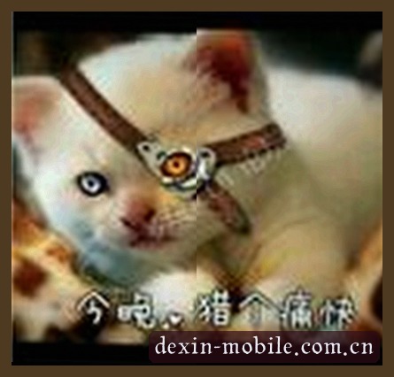 王总